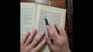 Noach Trup cantillation tammim Torah reading