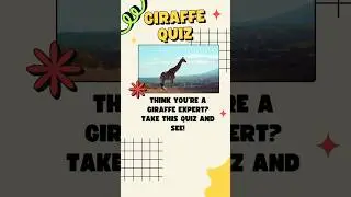 Think you&rsquo;re a giraffe expert? Take this quiz and see!