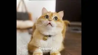 #viral apt #short