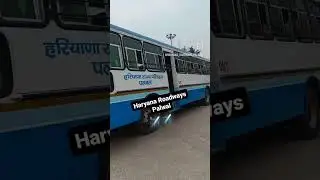 ✈️Haryana Roadways Palwal ✈️#crazyxyz #mrindianhacker #haryana #haryanaroadways #instagram #trending