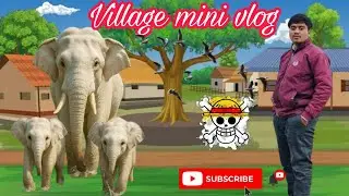 Village mini vlog viral video//@highdiverfly 