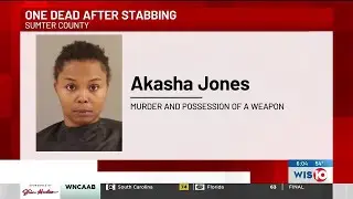 Woman arrested after domestic dispute leads to fatal stabbing in Sumter County