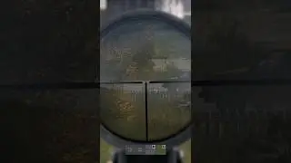 Пуля знает точно, кого она не любит - DayZ #dayz #dayzcommunity