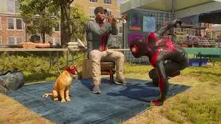 Lets just say i like Spider Cat