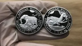 2023 Bavarian State Mint, African Wildlife Series: Somalia Elephant 1oz Silver BU Coin