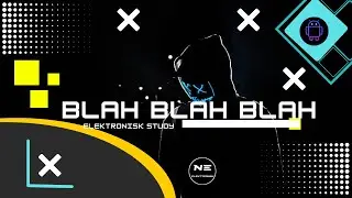 Elektronisk study