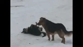 Nauczułem się Break Dance a