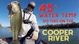 45 Degree Water Temp!  Do This On The Cooper River
