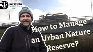 Urban Nature Reserve: Derwent Meadows / On Site