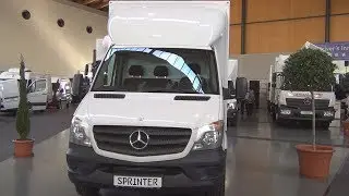 Mercedes-Benz Sprinter 316 CDI Erhardt Lorry (2016) Exterior and Interior