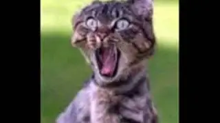 I BET YOU WILL LAUGH OR SMILE!!!