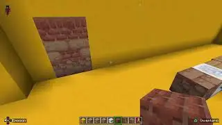 Minecraft,sabiendo que nadie se unir&aacute; al directo