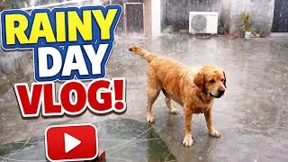 &ldquo;My Dog&rsquo;s Reaction to Heavy Rain 😂🐕 | Rainy Day Vlog&rdquo; || DIAMOND LAB