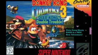 Playing Donkey Kong Country 3 and more!