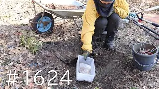 竹株一本は必ず抜く！地中に隠された鉄くずにトタン屑…強力磁石で取っても取っても出てくるよ