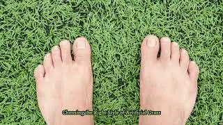 Artificial Grass & Pavers Pros - Boost Curb Appeal with Artificial Grass St  Petersburg