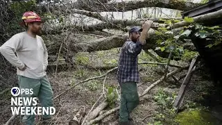 Volunteers work to restore the Appalachian Trail after Helene&rsquo;s destruction
