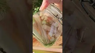 Pickled Celery. But make it PINK 🩷 #lactofermentation #growwhatyoueat #cookwithme #betterforyou