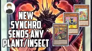 *BEST* TARGETS for New DIABOLANTIS Synchro Monster in Yu-Gi-Oh!
