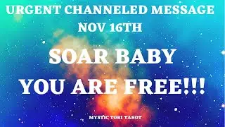 🚨✨URGENT CHANNELED MESSAGE~SOAR! YOU CAN FLY...YOU'VE BEEN ACTIVATED AND UPGRADED SPIRITUALLY ✨