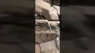 Porque El Pedal Del Clutch Se Pone Duro O Suave