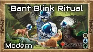How Many Cats Is Too Many Cats? Wait! And Dogs!  Bant Blink - Modern