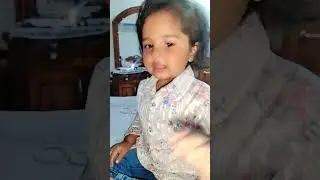 15 October 2025 pkaak wali game mini game