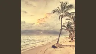 Fun Music for Jah