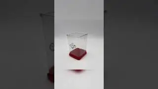 Chef Cup Fruit And Vegetable Fast Slicer Kitchen Gadgets