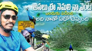 nenu vastha ani cycle yekki kurchundi | Sri Lanka Cycle Ride Day - 10 | ROW | Relaxnt Media
