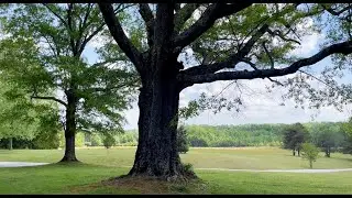 Homestead life - Whats its like to live on 32 Acres | PROPERTY TOUR