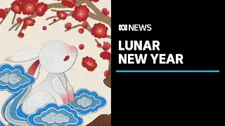 What does the year of the rabbit mean? Lunar New Year explained | ABC News