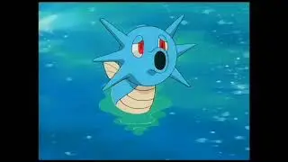 Horsea trying to defend humanity
