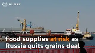 Food supplies at risk as Russia quits grains deal
