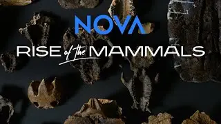 NOVA: Rise of the Mammals