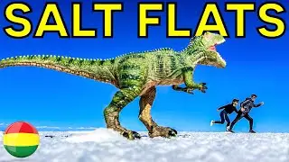 SALAR DE UYUNI | PART 2 (ISLA INCAHUASI)