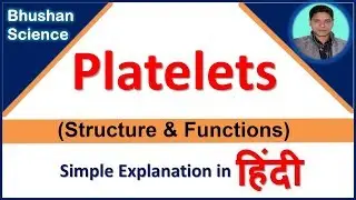What is Platelet (structure and functions) simple explanation in hindi | Bhushan Science