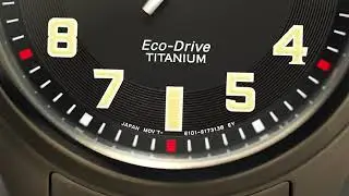 Citizen Eco Drive BM8560-53E | Relojoaria Impala