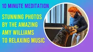 Discover the Magic: Model Horse Photography by Amy Williams