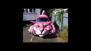 Weird and Funny Pictures on Internet