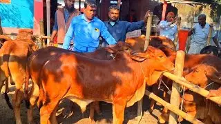  @আজ ১৪ জানুয়ারি 