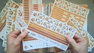New Release! Budget Sticker! | Fall Theme| Mock Budget Set Up | VanLilys Stickers