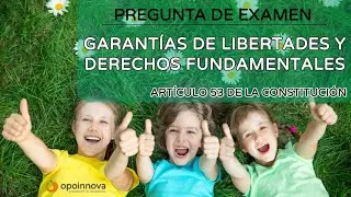 Garantías de las libertades y derechos fundamentales