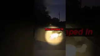 Dog Jumped In Front of Biker!