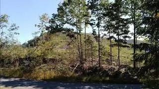 South Mt. Greene County NY