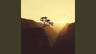 Bird Language To The Mother