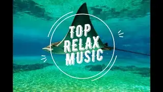 The Best Relaxing Pop Music Playlist