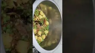 aalu matar pulao recipe #viral #food #recipe episode 1