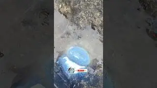 Bay Diamond Hunter Finds Blue Aquamarine-Formed Agate 💎 Rare Gemstone Discovery!