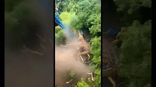 ⚠️ Don't watch before your next rollercoaster  #AmusementParkFail #RideCollapse #rollercoaster